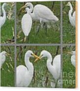 White Egrets Wood Print