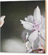 White Flower Ii Wood Print