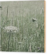 White Flower In A Meadow Wood Print