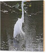 White Heron Wood Print