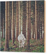 White Horse In The Wood Wood Print
