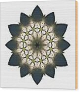 White Lily Iii Flower Mandala White Wood Print