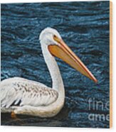 White Pelican Portrait Wood Print