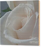 White Roses Wood Print