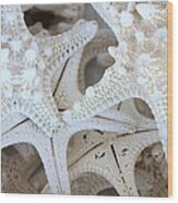 White Starfish Wood Print