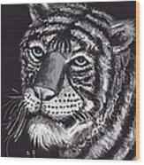 White Tiger Wood Print