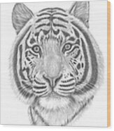 White Tiger Wood Print