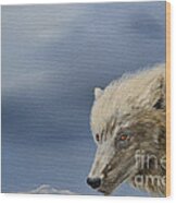 White Wolf3 Wood Print