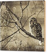 Whoooo's There Wood Print