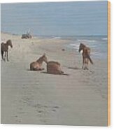 Wild Horses On The Beach Wood Print