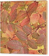 Wild Rose Leaves In Autumn Wood Print