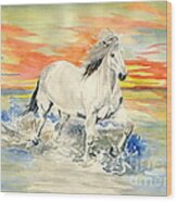 Wild White Horse Wood Print