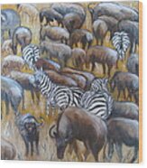 Wildebeest Migration In Kenya Wood Print