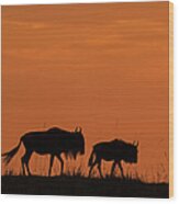 Wildebeest On Migration At Sunrise Wood Print