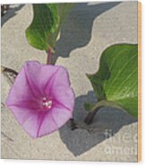 Wildflower On The Beach Wood Print