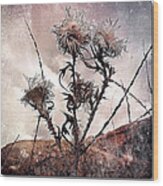 Wildflower11-2 Wood Print
