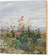 Wildflowers With A View Of Dublin Dunleary Wood Print