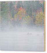 Wildlife Pond - Bethlehem New Hampshire Usa Wood Print