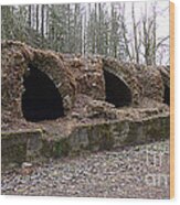 Wilkeson Coke Ovens Wood Print