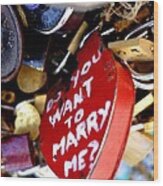 Do You Want To Marry Me Love Lock Paris Wood Print