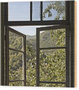 Window Wood Print