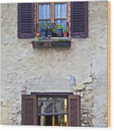 Windows With Potted Plants Of Rural Tuscany Wood Print
