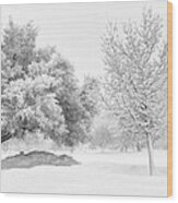 Winona Snowstorm Wood Print