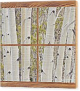 Winter Aspen Tree Forest Barn Wood Picture Window Frame View Wood Print