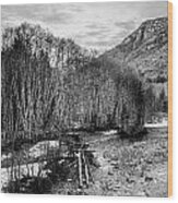 Winter Backroads Englishman River Wood Print