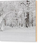 Winter Canvas Wood Print