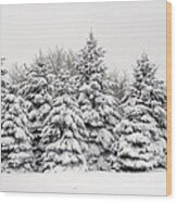 Winter Copse Wood Print