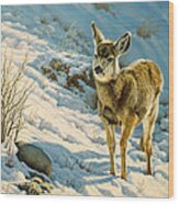 Winter Fawn - Mule Deer Wood Print