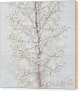 Winter Flower Wood Print