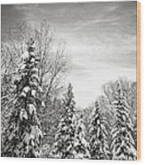 Winter Forest In Black And White Wood Print