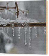 Winter - Ice Drops Wood Print