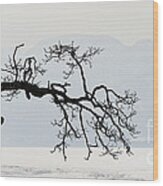 Winter Landscape, Hokkaido, Japan Wood Print