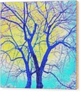 Winter Marriage Of Two Trees Wood Print