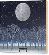 Winter Moon In City Park Wood Print