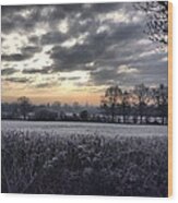 Winter Morning In Kent Wood Print