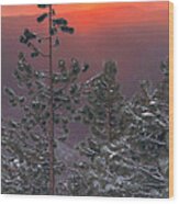 Winter Mountain Sunset Wood Print