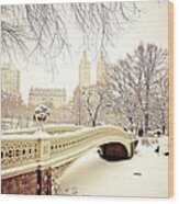 Winter - New York City - Central Park Wood Print