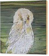 Harry's Owl Wood Print