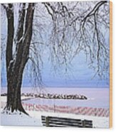 Winter Park In Toronto 2 Wood Print
