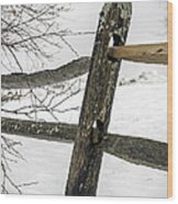 Winter Rail Fence Wood Print