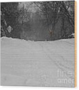 Winter Road Wood Print