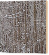 Winter Scene Wood Print