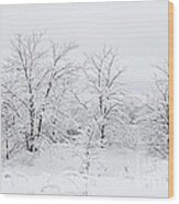 Winter Scene Wood Print