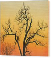 Winter Season Sunset Tree Wood Print
