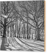 Winter Shadows Wood Print