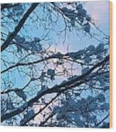 Winter Sky And Snowy Japanese Maple Wood Print